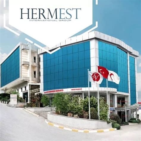 hermest hair clinic istanbul reviews.